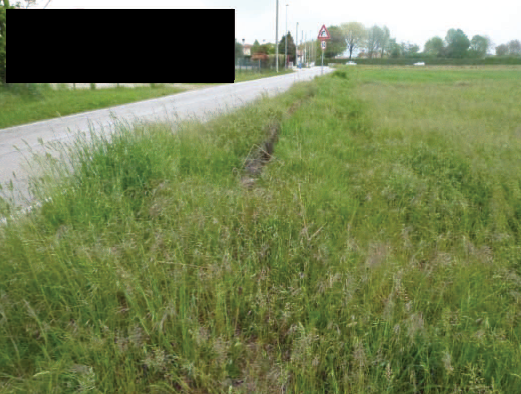 Rif. A.A.450-253

Vendita all'asta - terreno agricolo in data 22 settembre 2026

Descrizione: tra...