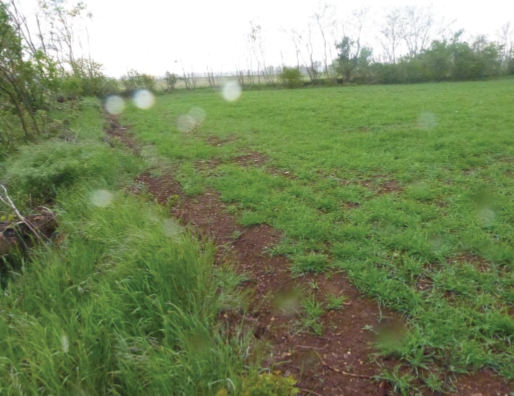 Rif. A.A.450-254

Vendita all'asta - terreno agricolo in data 22 settembre 2026

Descrizione: tra...
