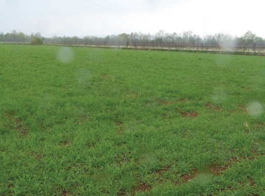 Rif. A.A.450-254

Vendita all'asta - terreno agricolo in data 22 settembre 2026

Descrizione: tra...