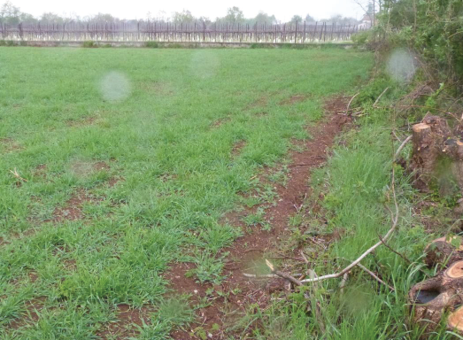 Rif. A.A.450-254

Vendita all'asta - terreno agricolo in data 22 settembre 2026

Descrizione: tra...