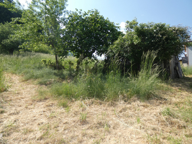 VALLI DEL PASUBIO-STARO:  TERRENO AGRICOLO di 8.100 mq ed EDIFICABILE di mq 540. EURO 40.000. Per...