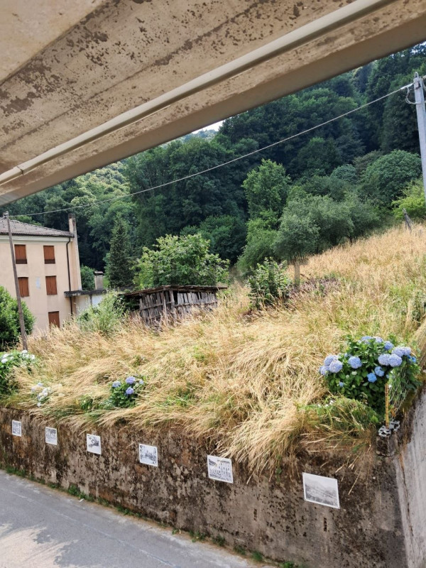 VALLI DEL PASUBIO-STARO:  TERRENO AGRICOLO di 8.100 mq ed EDIFICABILE di mq 540. EURO 40.000. Per...