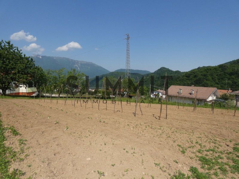 VALLI DEL PASUBIO-STARO:  TERRENO AGRICOLO di 1.150 MQ COMPLETAMENTE PIANEGGIANTE.  EURO 5.000 Pe...