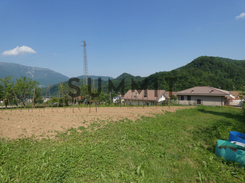 VALLI DEL PASUBIO-STARO:  TERRENO AGRICOLO di 1.150 MQ COMPLETAMENTE PIANEGGIANTE.  EURO 5.000 Pe...