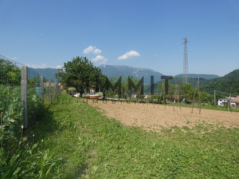 VALLI DEL PASUBIO-STARO:  TERRENO AGRICOLO di 1.150 MQ COMPLETAMENTE PIANEGGIANTE.  EURO 5.000 Pe...