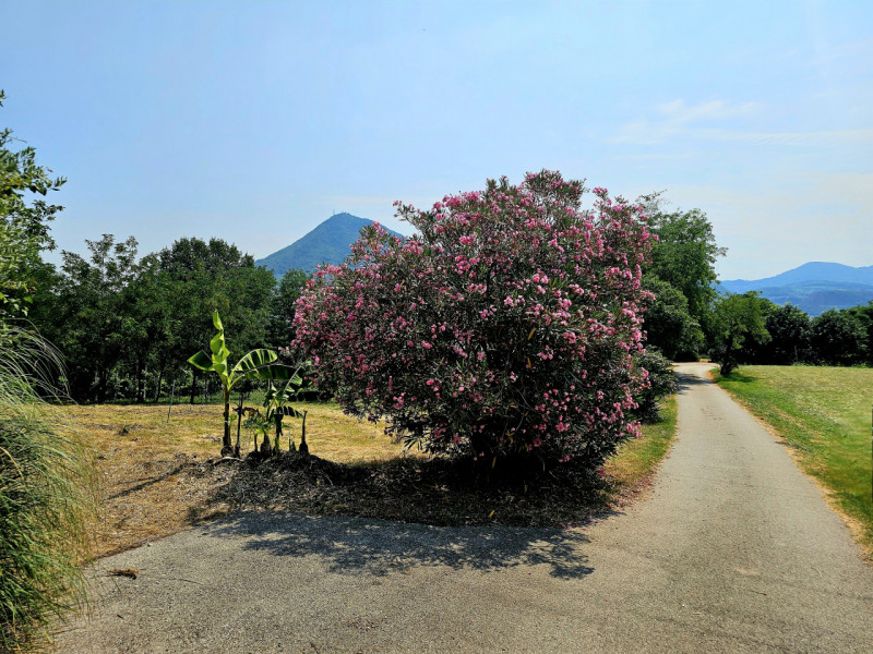 In un bel contesto paesaggistico ad Albettone, nella località di Lovertino, proponiamo in vendita...