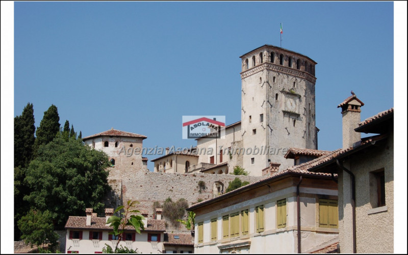 Vendesi palazzo storico in centro storico ad Asolo. Il palazzo si sviluppa su di una superficie d...