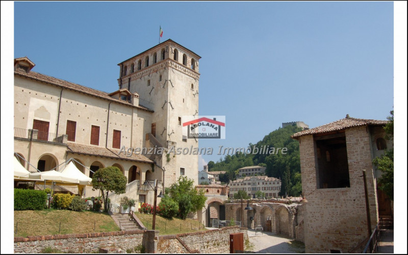Vendesi palazzo storico in centro storico ad Asolo. Il palazzo si sviluppa su di una superficie d...