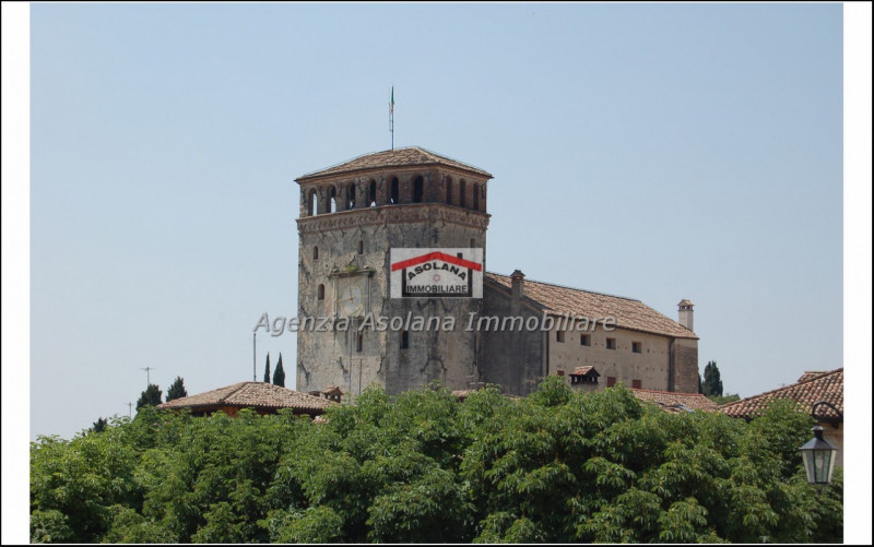 Vendesi palazzo storico in centro storico ad Asolo. Il palazzo si sviluppa su di una superficie d...