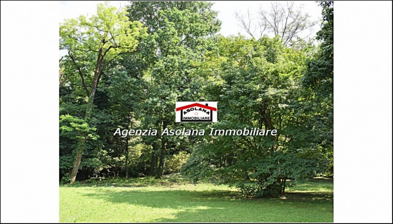 Vendesi Villa Veneta  con parco e laghetto privato in centro a Catello di Godego.
La villa di gen...