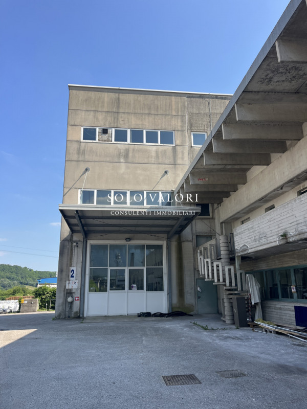 Rif. D203C (per info 393 1710719 Fabrizio). Solo Valori propone in locazione una porzione di un c...