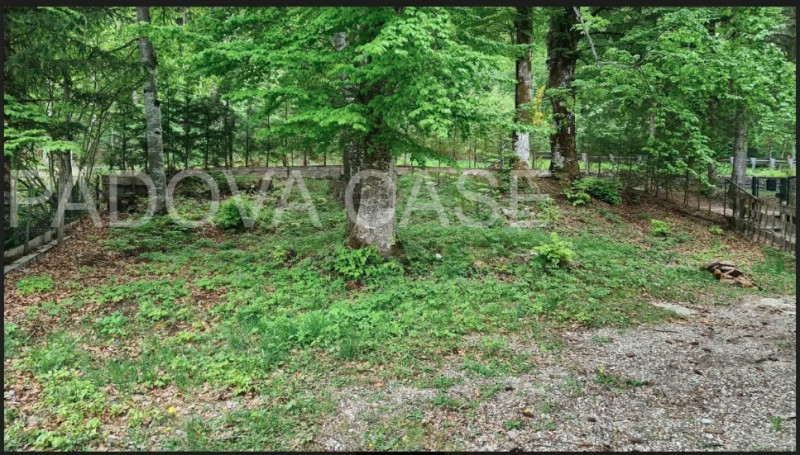 Scopri la tua oasi di tranquillità nella splendida villa situata a mezzaselva di Folgaria, un ver...