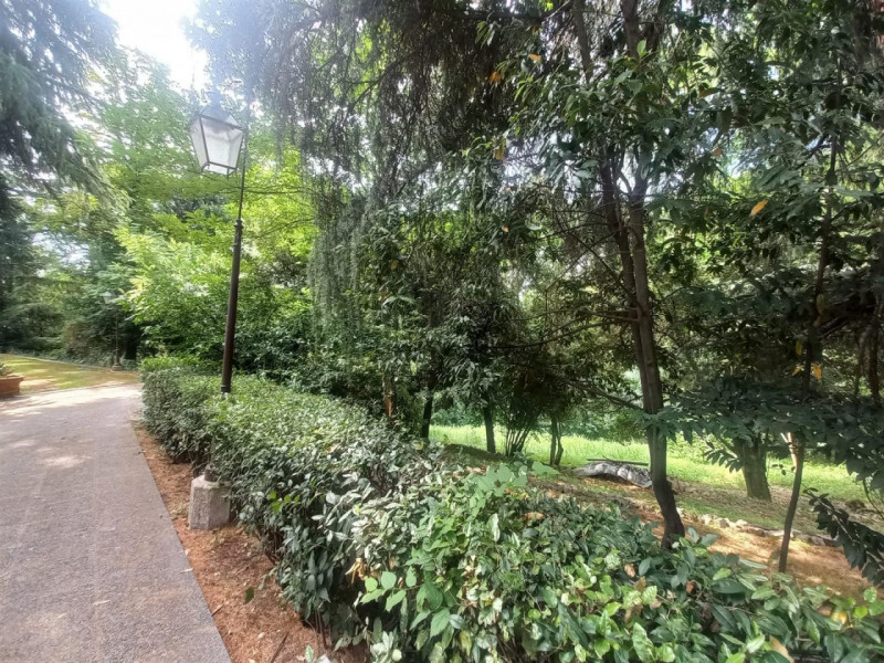 VICENZA - MONTE BERICO: PRESTIGIOSA VILLA DI MQ.350 ARREDATA CON PARCO. CANONE  EURO 3.200 MENSIL...