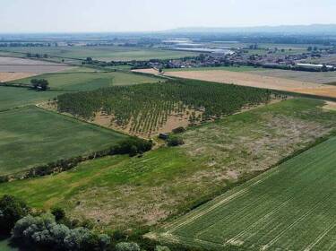CALDOGNO: VENDESI TERRENO AGRICOLO di mq 23.000 circa, prezzo richiesto EURO 115.000 trattabili. ...