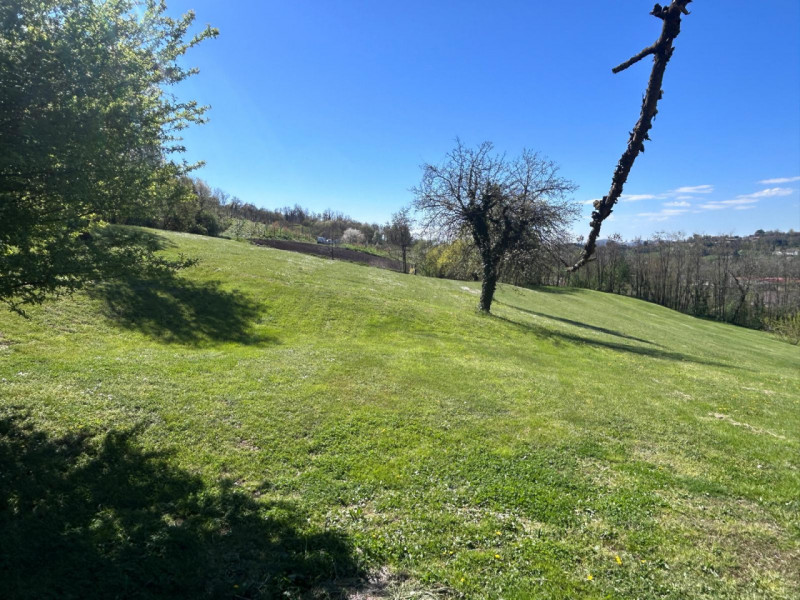 CALDOGNO: VENDESI TERRENO AGRICOLO di mq 23.000 circa, prezzo richiesto EURO 115.000 trattabili. ...
