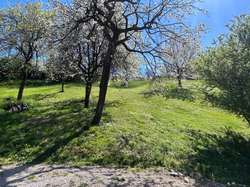 CALDOGNO: VENDESI TERRENO AGRICOLO di mq 23.000 circa, prezzo richiesto EURO 115.000 trattabili. ...