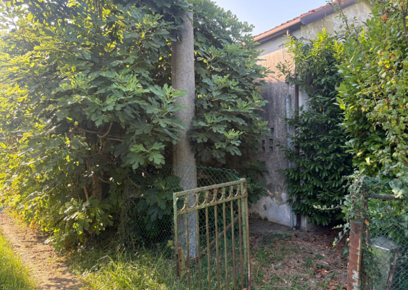 Rif. A.A.559-183

Vendita all'asta - terreno con due edifici fatiscenti in data 15 settembre 2026...