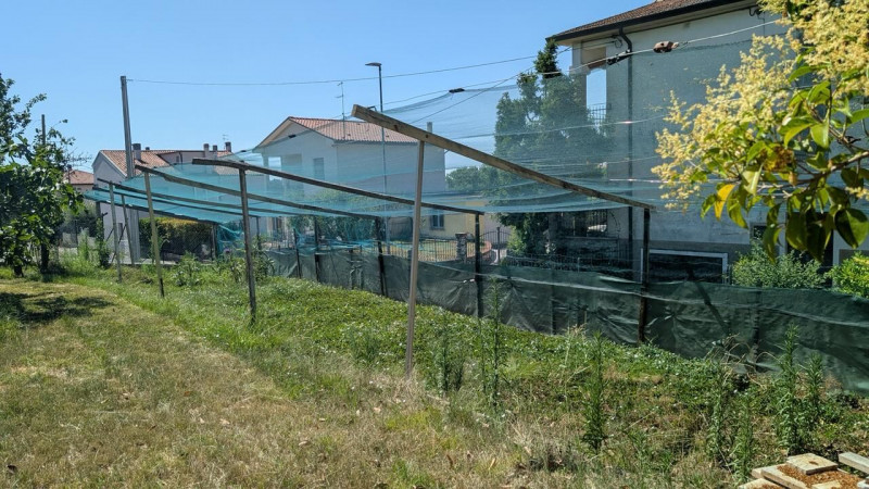 <h3>Un'Opportunità Unica per la Tua Nuova Vita a Zugliano!</h3><p>Immagina di plasmare la casa de...