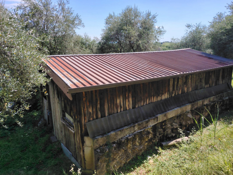 Uliveto in zona viale Asiago, posizione rialzata collinare. Circa 70 ulivi produttivi in area di ...