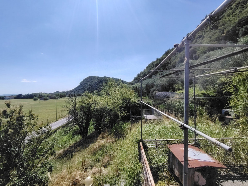 Uliveto in zona viale Asiago, posizione rialzata collinare. Circa 70 ulivi produttivi in area di ...