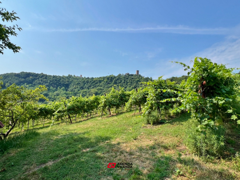 IN VENDITA A VICENZA OVEST IN POSIZIONE COLLINARE: SPLENDIDO AGRITURISMO -MURI E ATTIVITA'- RIF. ...