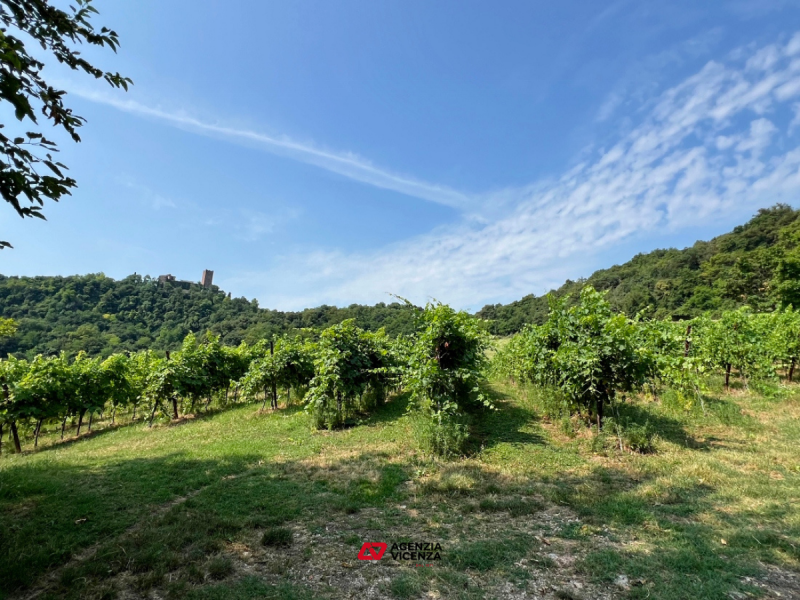 IN VENDITA A VICENZA OVEST IN POSIZIONE COLLINARE: SPLENDIDO AGRITURISMO -MURI E ATTIVITA'- RIF. ...