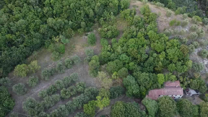 Scopri questo incantevole rustico situato nel cuore di Arquà Petrarca, un comune famoso per la su...