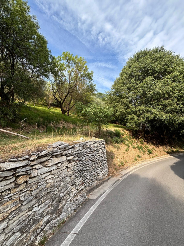 Scopri questo incantevole rustico situato nel cuore di Arquà Petrarca, un comune famoso per la su...