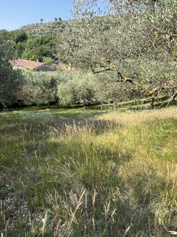 Scopri questo incantevole rustico situato nel cuore di Arquà Petrarca, un comune famoso per la su...