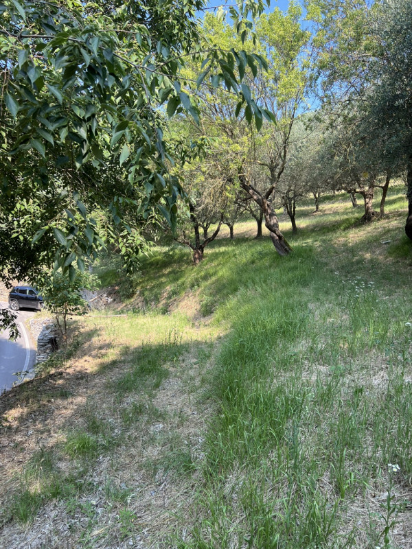 Scopri questo incantevole rustico situato nel cuore di Arquà Petrarca, un comune famoso per la su...