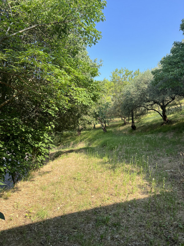 Scopri questo incantevole rustico situato nel cuore di Arquà Petrarca, un comune famoso per la su...