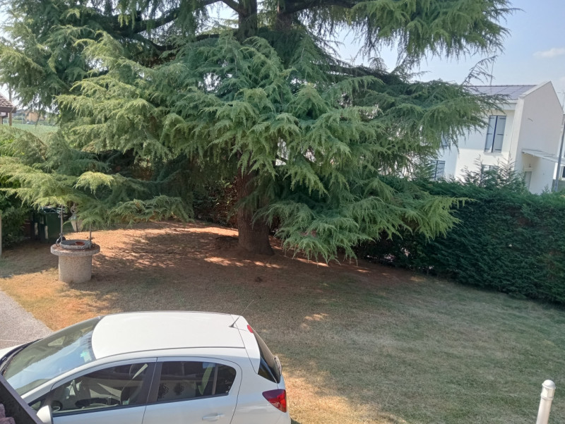 Vigonovo - Fermati!!! Non proseguire oltre. Hai Trovato quello che cercavi. Sei alla ricerca di u...