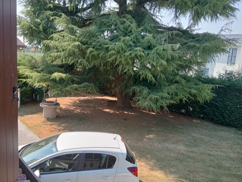Vigonovo - Fermati!!! Non proseguire oltre. Hai Trovato quello che cercavi. Sei alla ricerca di u...