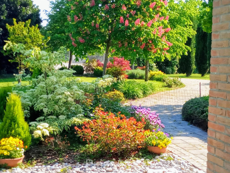 Comune di Correzzola - frazione Villa Del Bosco vendesi singolare villa con ampio parco piantumat...