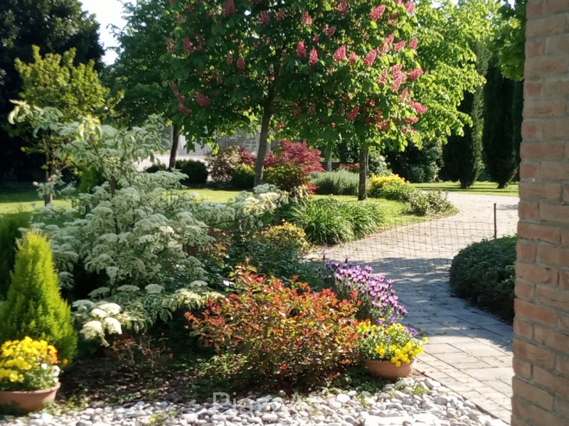 Comune di Correzzola - frazione Villa Del Bosco vendesi singolare villa con ampio parco piantumat...