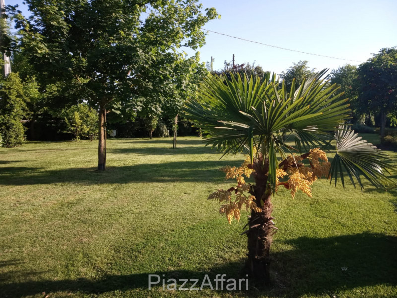 Comune di Correzzola - frazione Villa Del Bosco vendesi singolare villa con ampio parco piantumat...