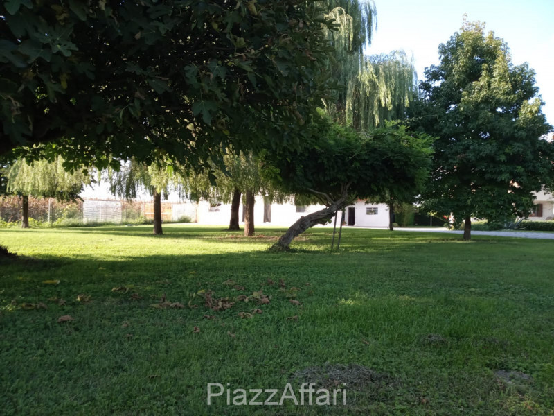 Comune di Correzzola - frazione Villa Del Bosco vendesi singolare villa con ampio parco piantumat...
