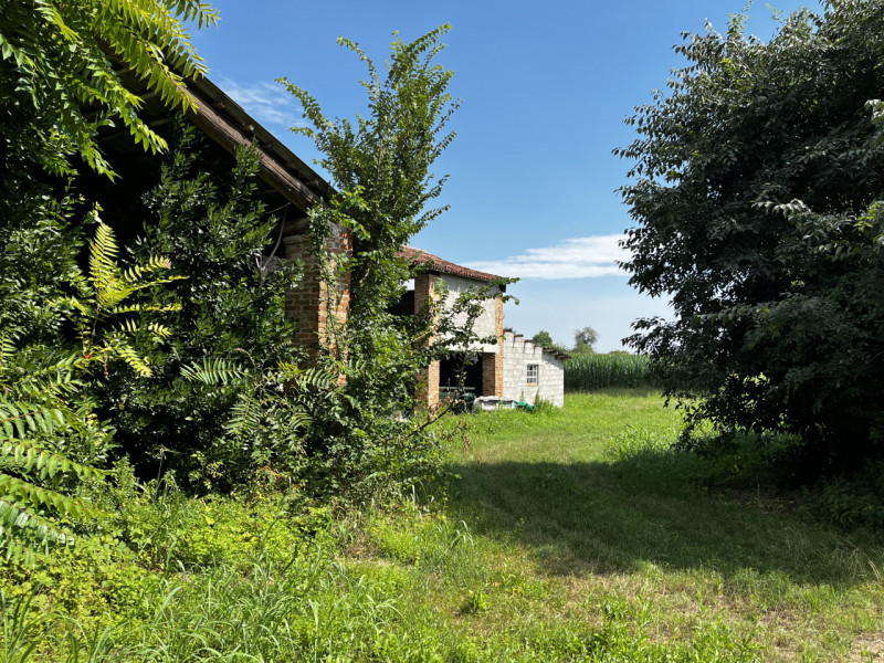 VILLAGA: Località Quargente. Proponiamo in vendita un ampio rustico di campagna immerso nella tra...