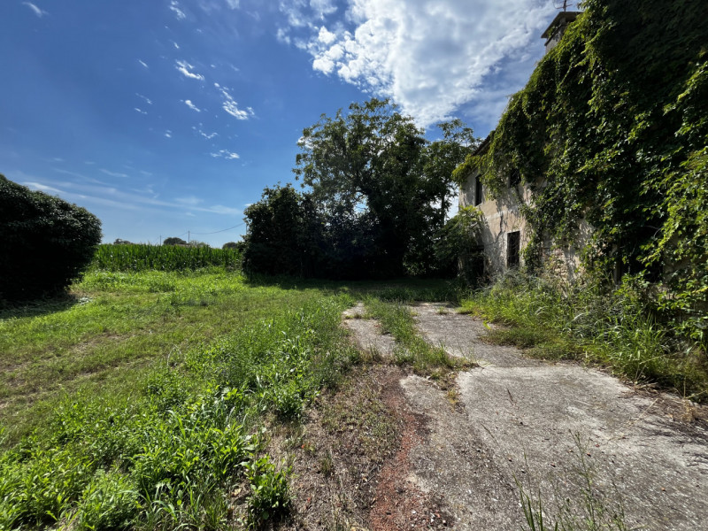 VILLAGA: Località Quargente. Proponiamo in vendita un ampio rustico di campagna immerso nella tra...