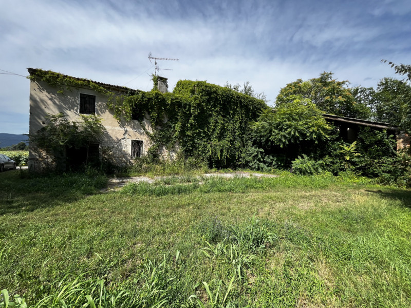 VILLAGA: Località Quargente. Proponiamo in vendita un ampio rustico di campagna immerso nella tra...