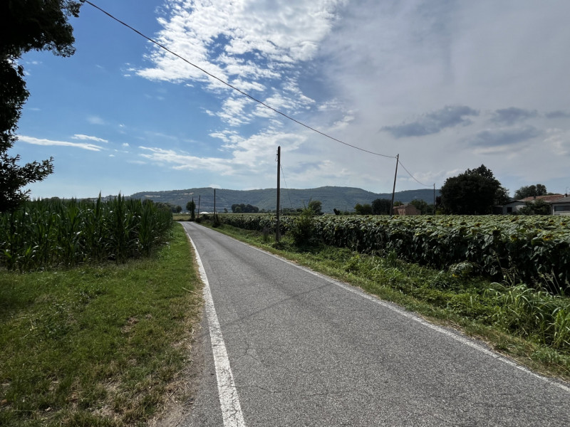VILLAGA: Località Quargente. Proponiamo in vendita un ampio rustico di campagna immerso nella tra...