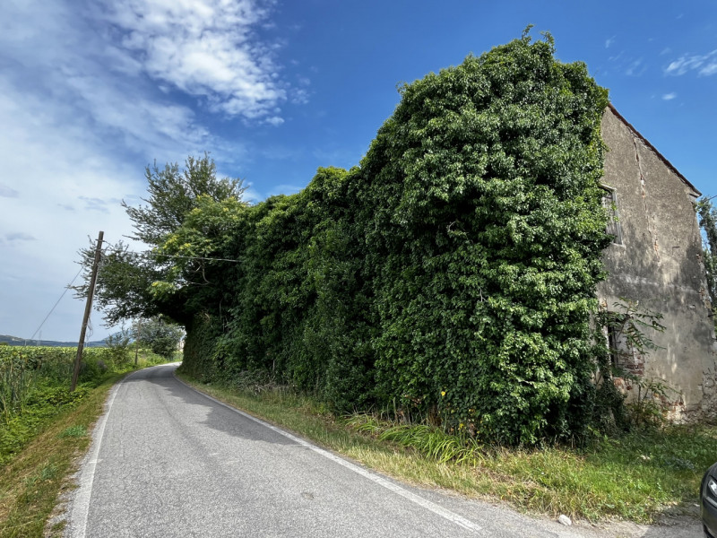 VILLAGA: Località Quargente. Proponiamo in vendita un ampio rustico di campagna immerso nella tra...