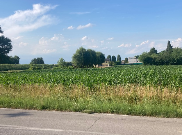 Rif. A.A.53-191

Vendita all'asta - terreno agricolo in data 30 settembre 2026

Descrizione: trat...
