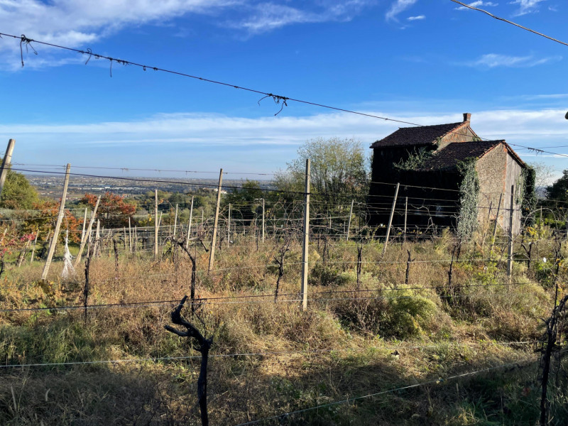 Rustico indipendente con 4.500 mq di terreno a Colceresa

Info e appuntamento Sogno Immobiliare v...