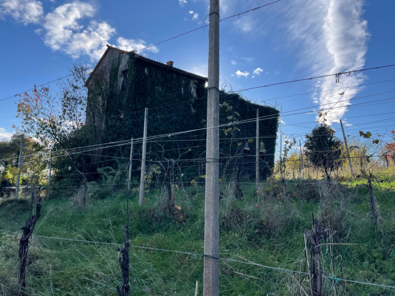 Rustico indipendente con 4.500 mq di terreno a Colceresa

Info e appuntamento Sogno Immobiliare v...