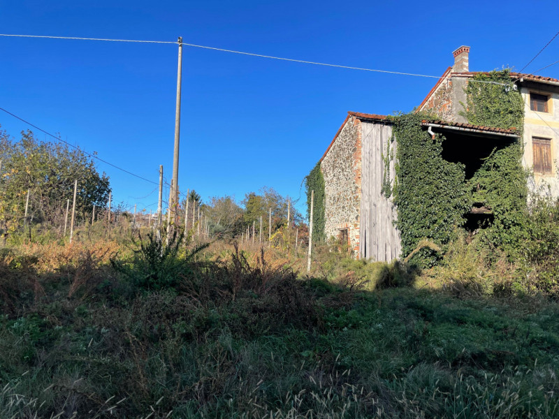 Rustico indipendente con 4.500 mq di terreno a Colceresa

Info e appuntamento Sogno Immobiliare v...