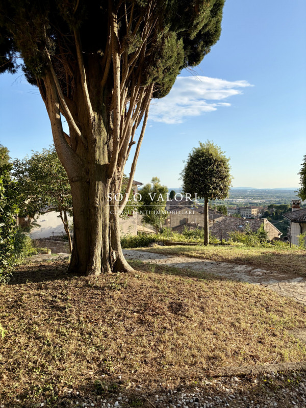 Rif. C360 (per info 335 6198429 Nicola - 338 9387816 Matteo)

Soluzione di Prestigio

Asolo Centr...