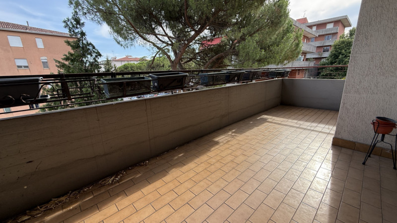 MADONNA PELLEGRINA Quartiere servito e ben collegato, posizione comoda al Prato della Valle e agl...