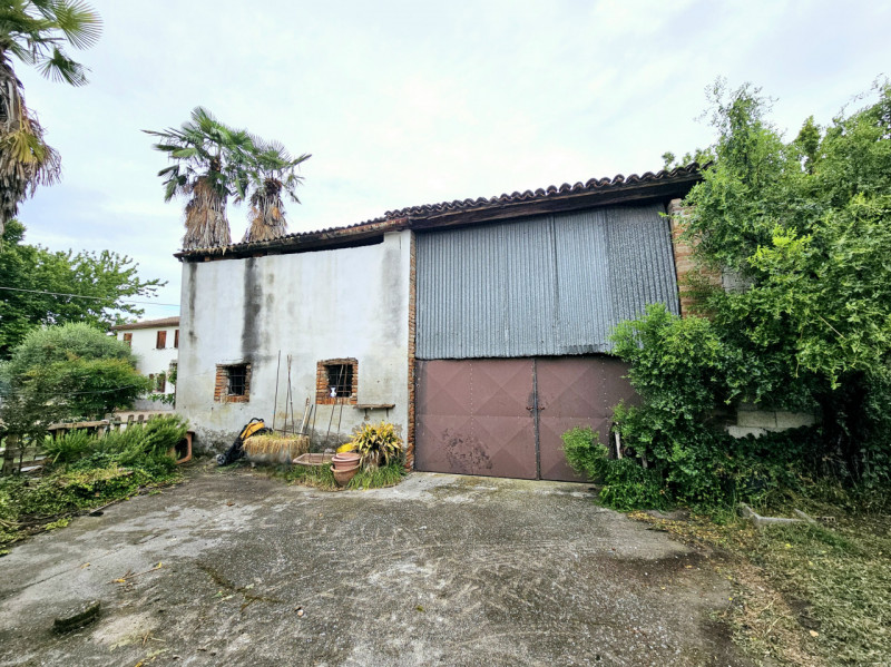 Proponiamo in vendita a Borgo Veneto, località Megliadino San Fidenzio, in una posizione comoda a...