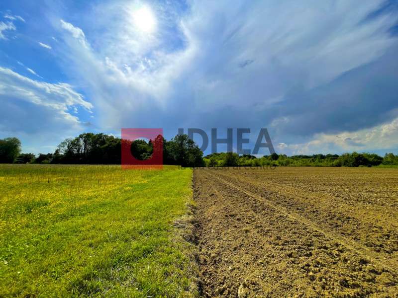 TREVISO ZONA GHIRADA 

L'agenzia immobiliare Idhea ha il piacere di proporvi questo terreno agric...
